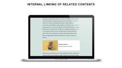 Phần mềm Internal Linking Related Contents license bản quyền vĩnh viễn