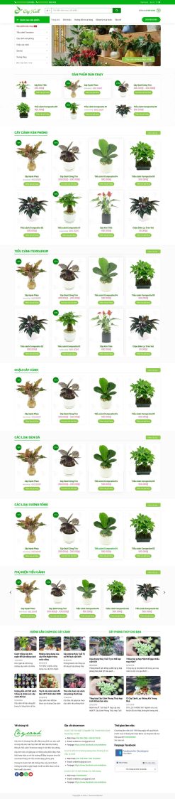 Theme wordpress chậu cây mini giá rẻ