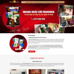 Theme WordPress bán đá muối giá rẻ