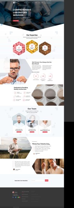 Theme wordpress giới thiệu công ty 1 giá rẻ