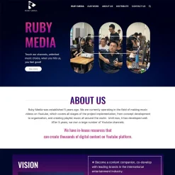 Theme WordPress công ty media network giá rẻ