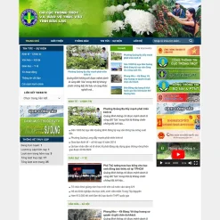 Theme WordPress cơ quan nhà nước giá rẻ