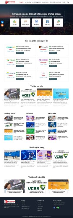 Theme wordpress tài chính 2 giá rẻ