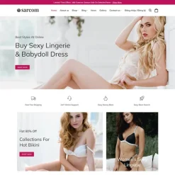Theme wordpress shop thời trang áo lót sexy giá rẻ