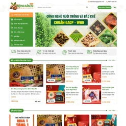 Theme WordPress quà tặng cao cấp giá rẻ