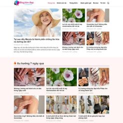 Theme WordPress tin tức 11 giá rẻ