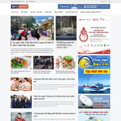 Theme WordPress tin tức 17 giá rẻ