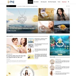 Theme WordPress tin tức 25 giá rẻ