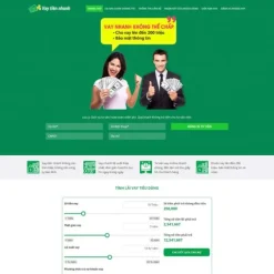 Theme wordpress dịch vụ vay tiền, tài chính giá rẻ